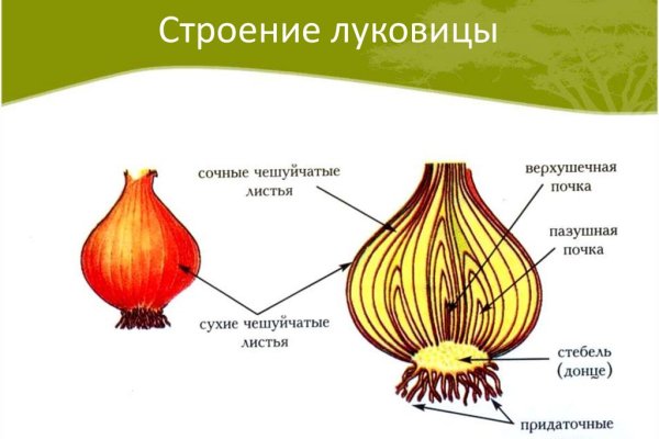 Браузер кракен vtor run