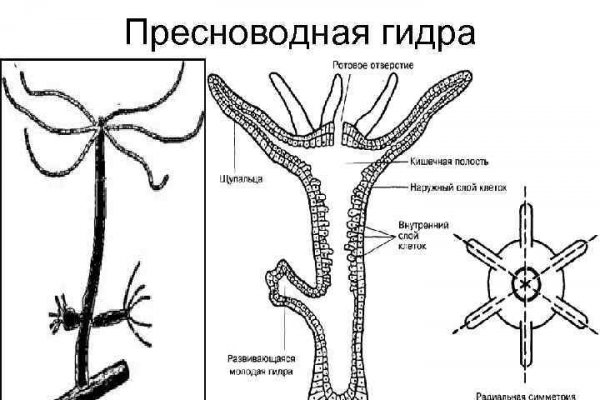 Даркнет онион ссылки